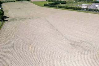 Ideaal gelegen landbouwgronden op ca. 9,2 ha net buiten de dorpsrand van Vremde. Volledig gelegen in agrarisch gebied. Geschikt voor o.a. paarden-...