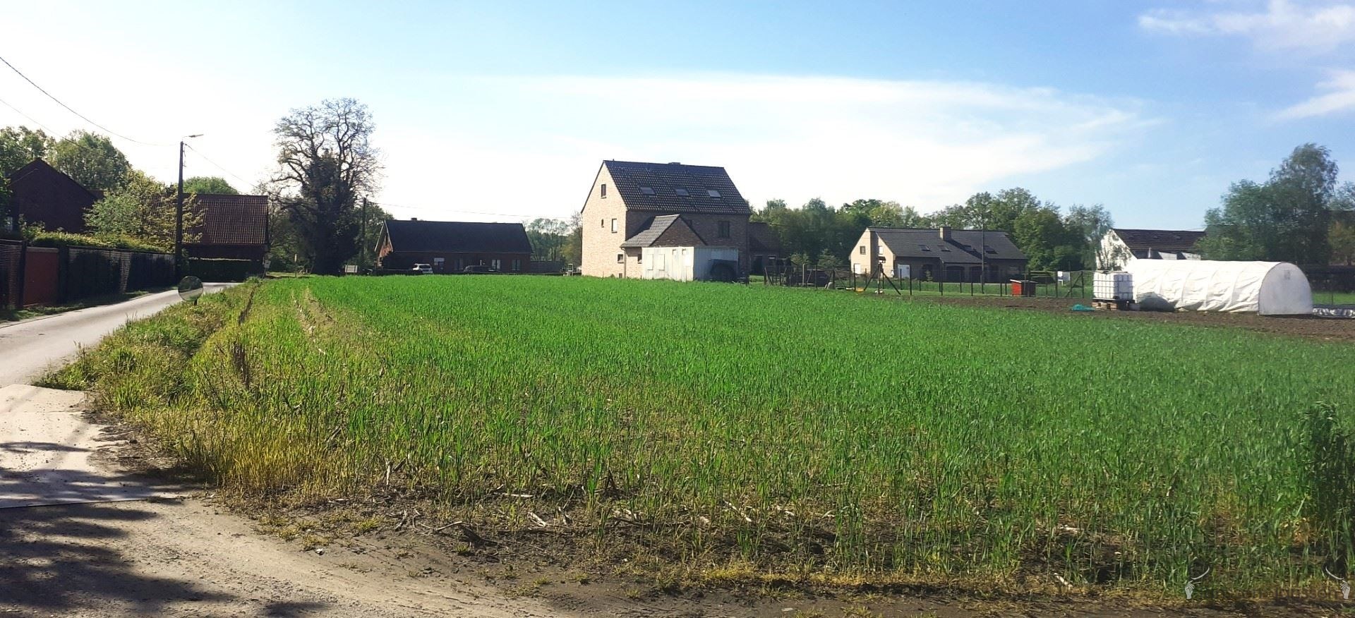 Ruime bouwgrond(2544m²) open bebouwing te Baal. - foto 3