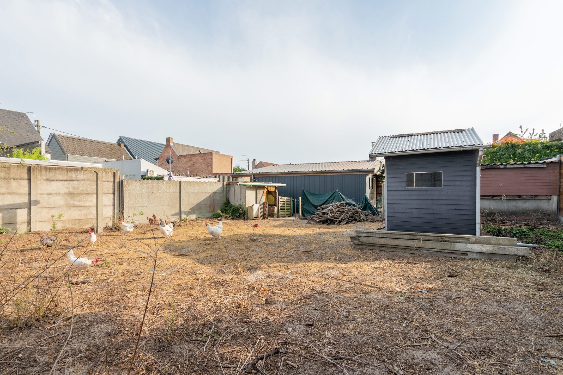 IN OPTIE !!!! - foto 2