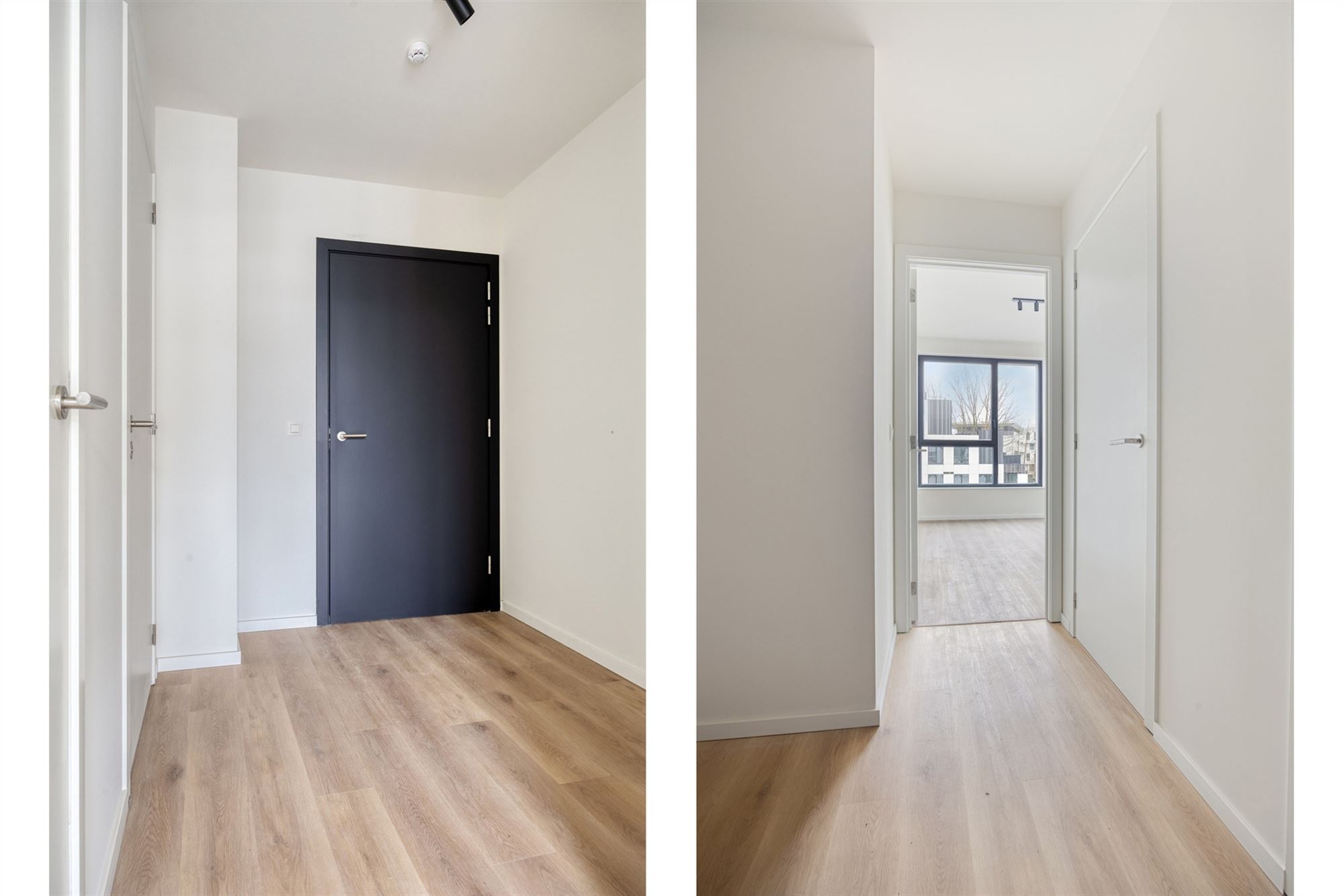 Appartement - photo 3