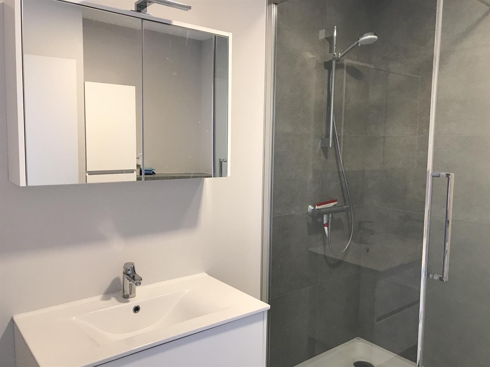 Ruim appartement met terras in het centrum van Tessenderlo - foto 4