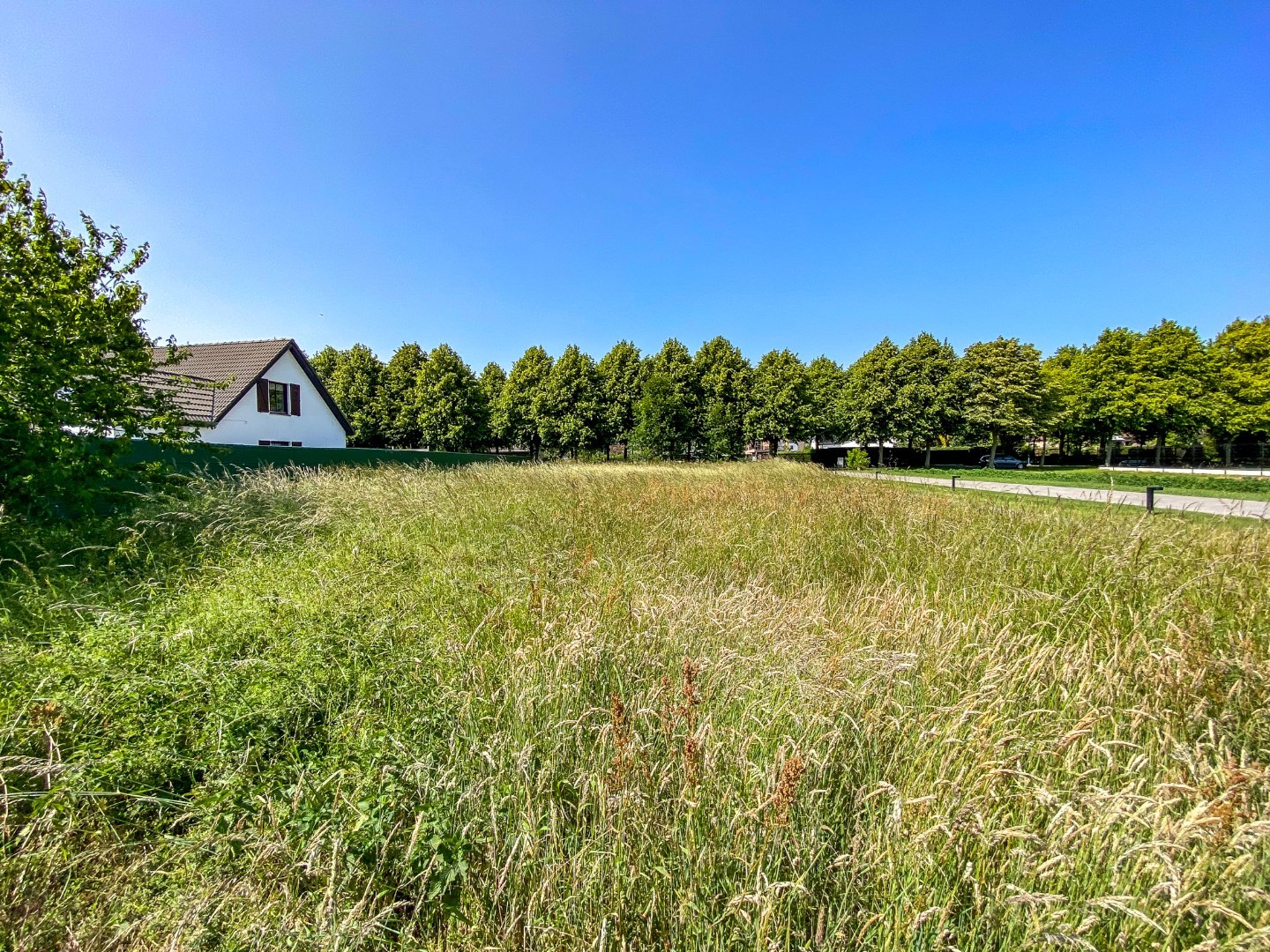 Nieuwbouwwoning (open bebouwing) op ruim perceel van 1064 m² te Oostduinkerke (Koksijde). - foto 2