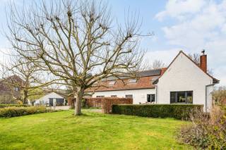 <p>Rustig gelegen in een doodlopende straat vindt u deze zeer goed onderhouden woning, waar comfort en licht centraal staan. Bij het binnenkomen komt u in de inkomhal met apart toilet, die leidt naar een ruime en lichtrijke leefruimte met gezellige eet- en zithoek, afgewerkt met een sfeervolle open haard. De ingerichte keuken met eiland sluit hier naadloos op aan en biedt samen met de praktische bijkeuken/wasplaats alle hedendaags comfort. Op het gelijkvloers bevinden zich bovendien een slaapkamer, bureau, dressing en een verzorgde badkamer met toilet, inloopdouche en lavabo.<br /><br />Op de verdieping geeft de ruime nachthal toegang tot twee volwaardige slaapkamers met ingemaakte kasten en een bijkomende douchekamer. Daarnaast is er ook een zolder aanwezig, die extra bergruimte biedt. De woning beschikt eveneens over een ruime garage.<br /><br />Buiten geniet u van een prachtig aangelegde, rustgevende tuin met meerdere terrassen en een vijver, ideaal om in alle privacy te ontspannen. Extra troeven zijn de zonneboiler en zonnepanelen, die bijdragen aan een energiezuinig geheel. Een instapklare woning op een bijzonder rustige ligging.<br /><br />Meer info of plan je bezoek: wim@immobeguin.be<br />Te koop via Immo Beguin, uw vastgoedexpert sinds 2009, met kantoren in Ronse, Waregem, Kortrijk, Deinze, Doornik en Lessen.</p>