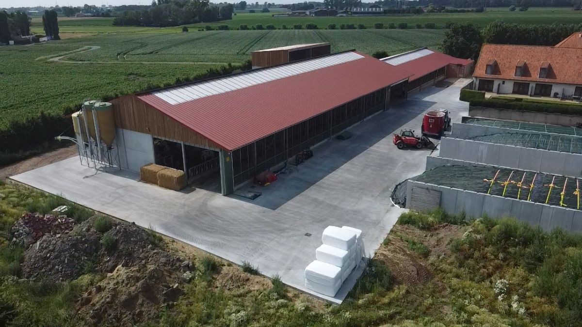 Prachtig melkveebedrijf met vakantiewoningen te koop te Koekelare - Bovekerke - foto 4
