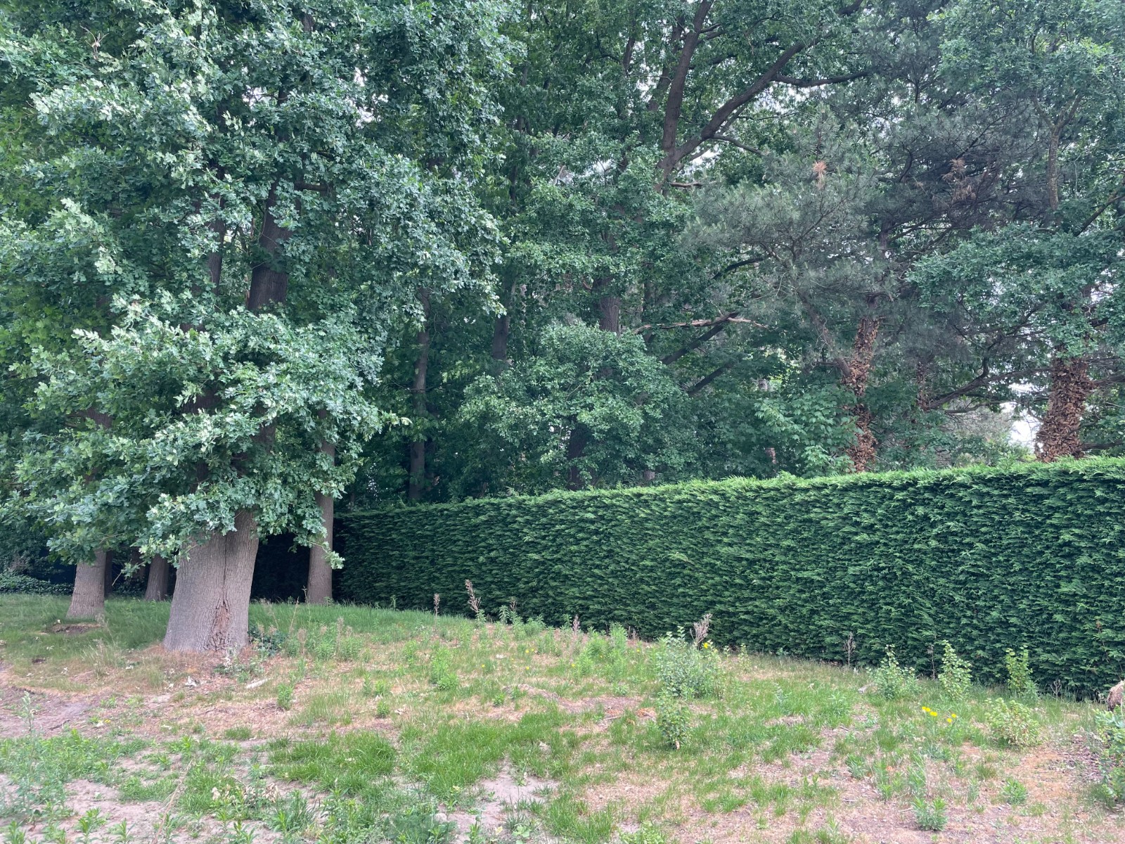 Luxe appartement van 135m² met 2 slaapkamers. - photo 4