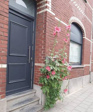 House for sale in Aalst