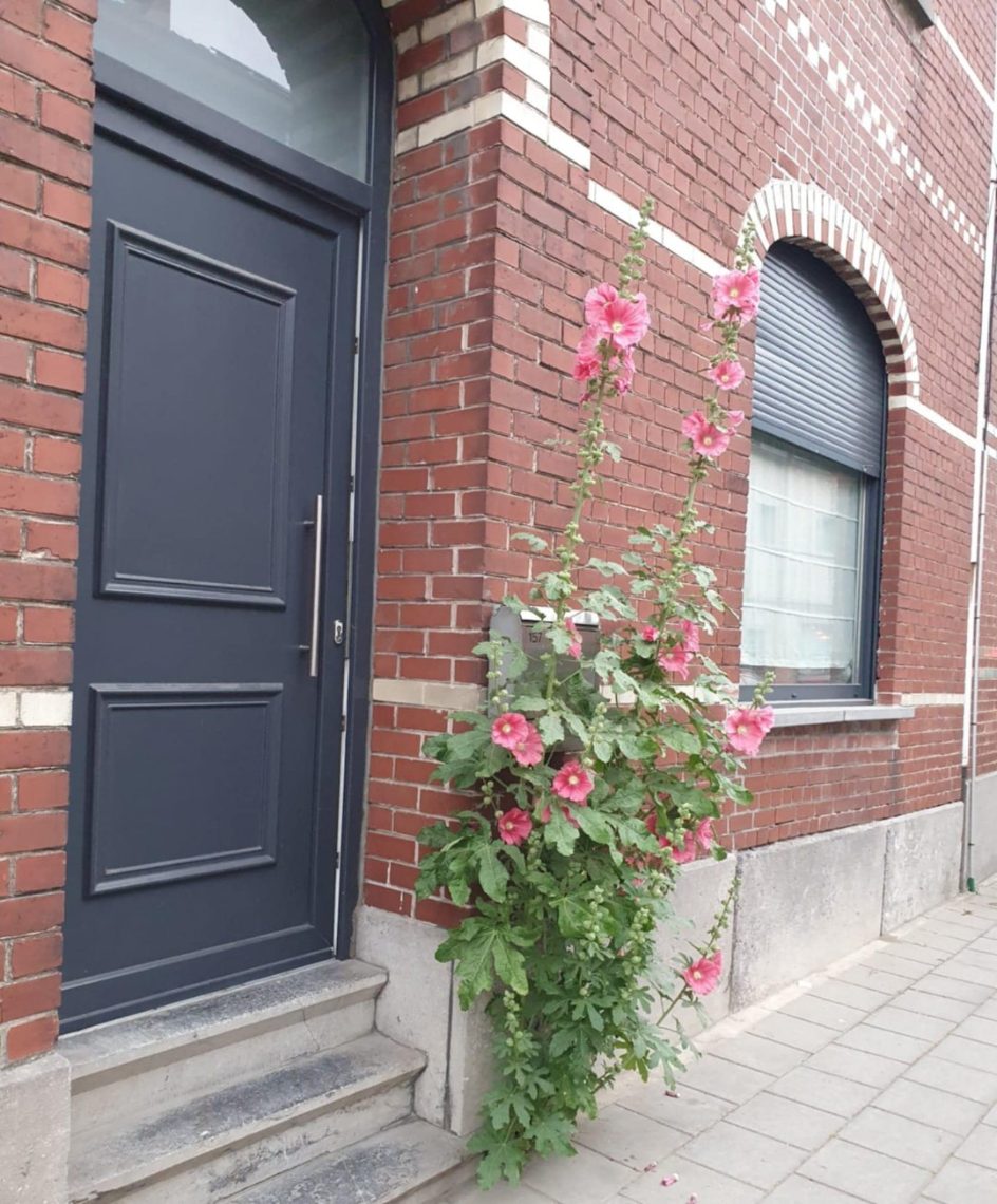 House for sale in Aalst with 4 bedrooms - photo 2