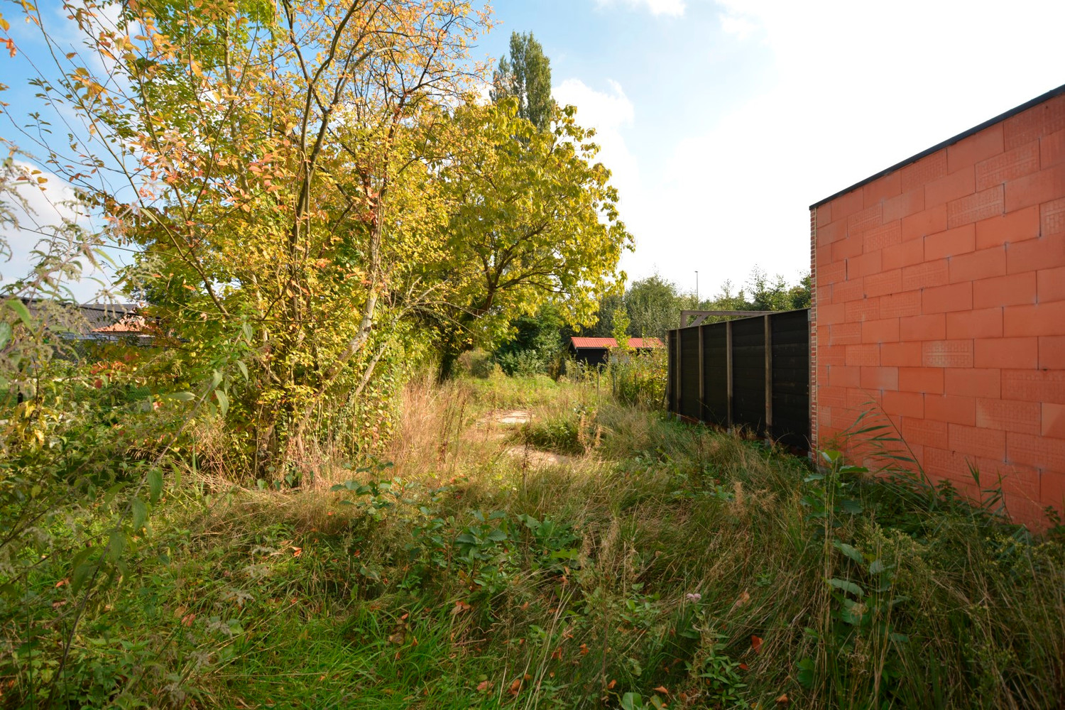 Terrain à vendre à Oelegem - photo 4