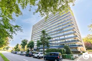 <p><span>Lichtrijk hoek-appartement met 3 slaapkamers en riante terrassen "with a view"!</span></p><p><span>Dit instapklaar appartement van maar liefst 129m² ligt op de 11</span><span><sup>de</sup></span><span> verdieping van een gebouw op het uiteinde van de gerenommeerde Fruithoflaan. Zodoende geniet u vanuit haast elke ruimte van een prachtig en groen uitzicht zonder enige inkijk. Op deze toplocatie zijn winkels, horeca, scholen, parken, sportfaciliteiten, openbaar vervoer en belangrijke invalswegen steeds vlakbij, net als het bruisende stadsleven. Het appartement werd doorheen de jaren grondig opgewaardeerd en heeft mede dankzij de recente HR ramen een zéér gunstig EPC (B/120). Kortom, een appartement waar authenticiteit en karakter hand in hand gaat met hedendaags comfort.</span></p><p><span> </span></p><p><span>Inkomhal, leefruimte & keuken:</span></p><p><span>U betreedt het appartement via de inkomhal met veiligheidsdeur, videofoon en grote ingemaakte kastenwand. De prachtige blokjesparket met sierlijst valt meteen in het oog en vindt u ook in de leefruimte terug. Met dank aan de hoekligging is de natuurlijke lichtinval in de woonkamer (ca.35m²) alomtegenwoordig en kijkt u uit op de magnifieke Antwerpse skyline. De recente keuken op XL-tegelvloer ligt aanpalend en is voorzien van een granieten werkblad en kwalitatieve toestellen (inductievuur, dampkap, oven, vaatwasser en koelkast). </span></p><p><span> </span></p><p><span>Nachthal, bergingen, wasruimte, toilet, badkamer & slaapkamers:</span></p><p><span>De nachthal, eveneens op parket, herbergt 2 praktische bergingen, een aparte wasruimte en een gastentoilet met handenwasser. De oogstrelende badkamer is geheel betegeld in marmer en omvat een ligbad/regendouche combinatie, dubbel wasmeubel, spiegelkast met ledverlichting, handdoekradiator en een extra toilet. Het appartement telt 3 volwaardige slaapkamers (ca. 10, 12,5 en 15m²) die allen aan de nog rustigere achterzijde liggen en rechtstreekse toegang bieden tot het terras.</span></p><p><span> </span></p><p><span>Terrassen & kelder:</span></p><p><span>Met een uitgestrekte terras aan de voorzijde (28,5m²) en een omvangrijk terras aan de achterzijde (15m²) kan u steeds in alle rust genieten van zon en schaduw, vergezeld van een feeëriek en groen uitzicht. Het is de perfecte plek om na een drukke werkdag even uit te blazen of gezellig te aperitieven, gevolgd door een lekker diner. Een droge, privatieve kelderberging is inbegrepen. </span></p><p><span> </span></p><p><span>Extra troeven: </span></p><p><span>- Mobiscore: 9,2/10</span></p><p><span>- 129 m² cfr EPC</span></p><p><span>- Gunstig EPC 120/B</span></p><p><span>- HR ramen (ca. 2022)</span></p><p><span>- Instapklaar</span></p><p><span>- Terrassen (43,5m² met panoramisch uitzicht)</span></p><p><span>- Zonnepanelen GD</span></p><p><span>- Kelder</span></p><p><span> </span></p>
