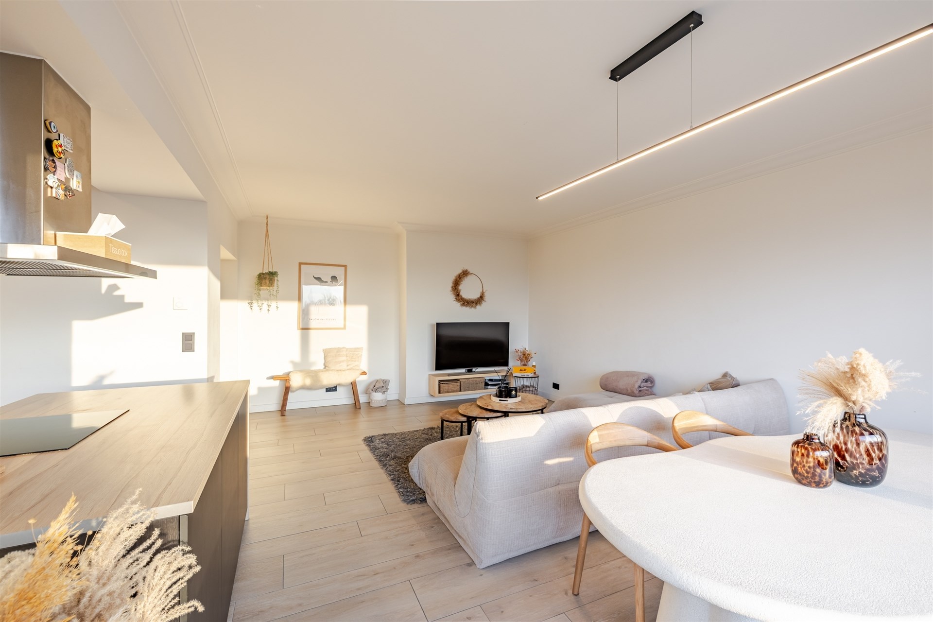 Prachtig appartement met panoramisch zicht op het stadspark van Aalst - foto 3