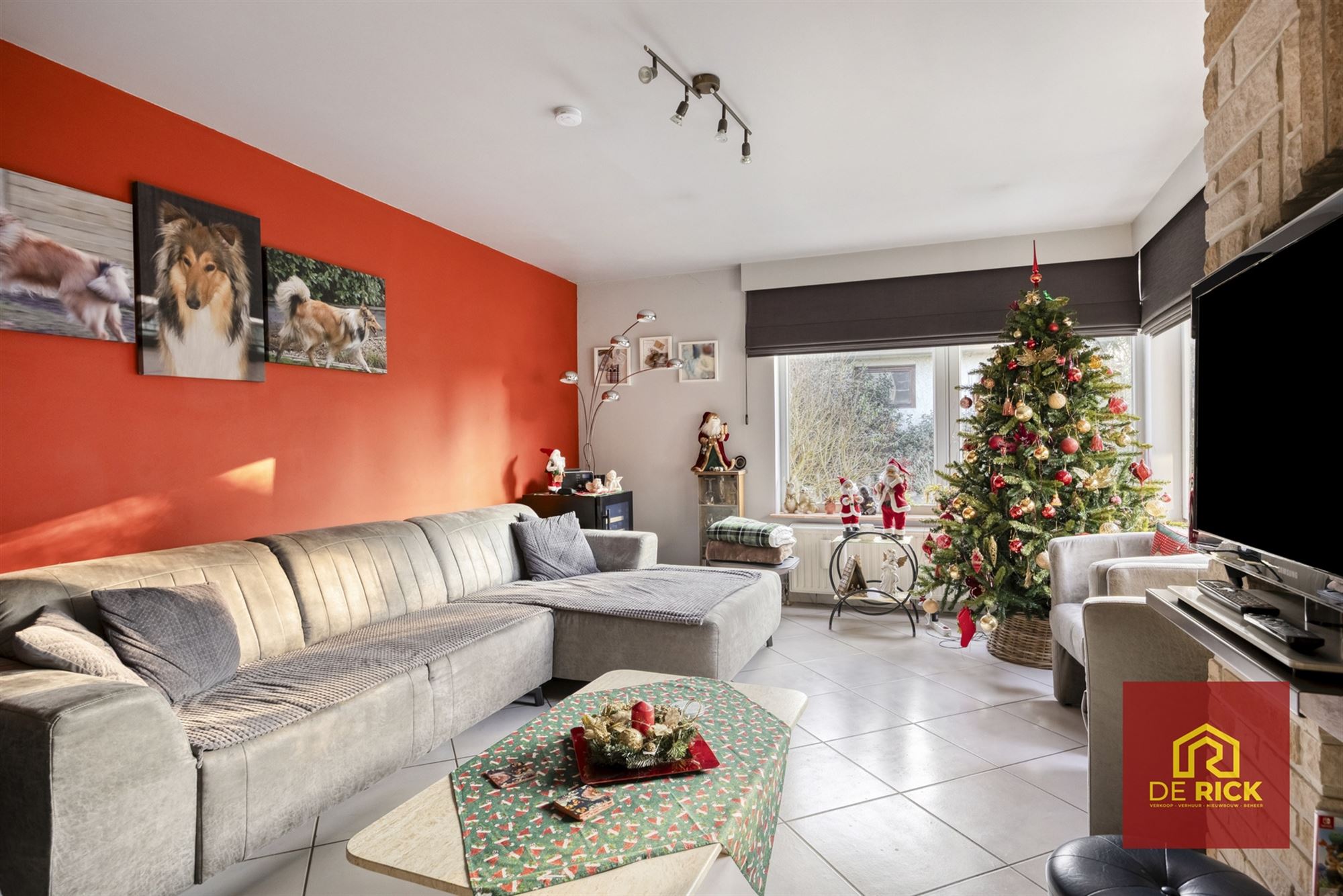 Ruime woning met 4 slaapkamers en tuin - foto 5