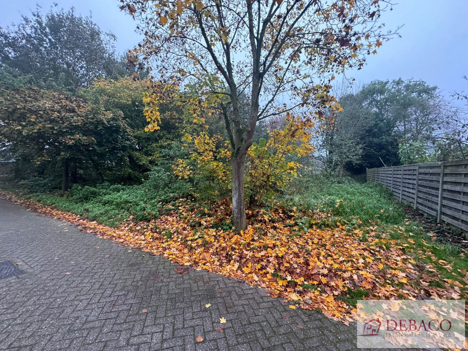 Rustig gelegen bouwgrond voor OB - foto 3