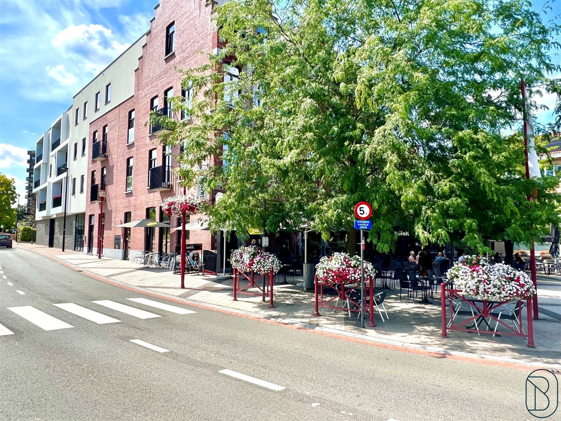 Commercial for sale in Ronse - photo 2