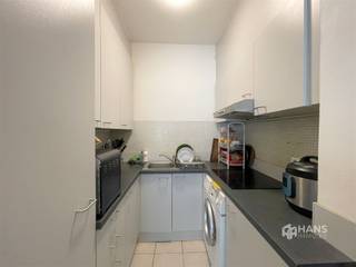 <p><span>Lichtrijk éénslaapkamer appartement met terras op toplocatie in 2000 Antwerpen! </span></p><p><span> </span></p><p><span>Het pand ligt op wandelafstand van de Meir, de oude stad, de Leien, Rooseveltplaats en tal van leuke restaurants en bars. </span></p><p><span> </span></p><p><span>Je betreedt het appartement via de inkomhal die verbinding verleend tot alle ruimtes. </span></p><p><span>De leefruimte met open keuken heeft een oppervlakte van 32m². </span></p><p><span>Badkamer voorzien van douche en lavabomeubel. Apart toilet aanwezig. </span></p><p><span>De slaapkamer situeert zich aan de achterkant van het appartement en geeft toegang tot het balkon. </span></p><p><span> </span></p><p><span>Maandelijkse kosten van 100 euro voor: onderhoud/gebruik gemene delen, onderhoud/gebruik lift, provisie water, provisie verwarming. </span></p><p><span>EPC: 177 B</span></p><p><span>Kelderberging ter beschikking voor huurder. Voor heel ons aanbod of een gratis schatting surf naar <span>www.hansimmo.be</span></span><span> of bel 03/290.30.30</span></p>