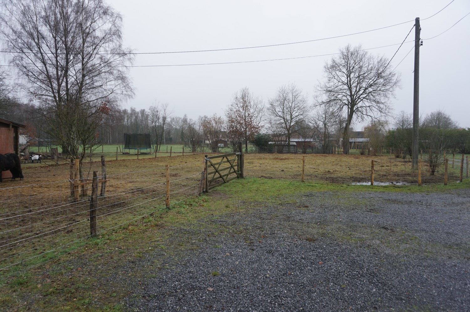 Rustig gelegen gerenoveerde woning in agrarisch gebied te Paal - foto 2