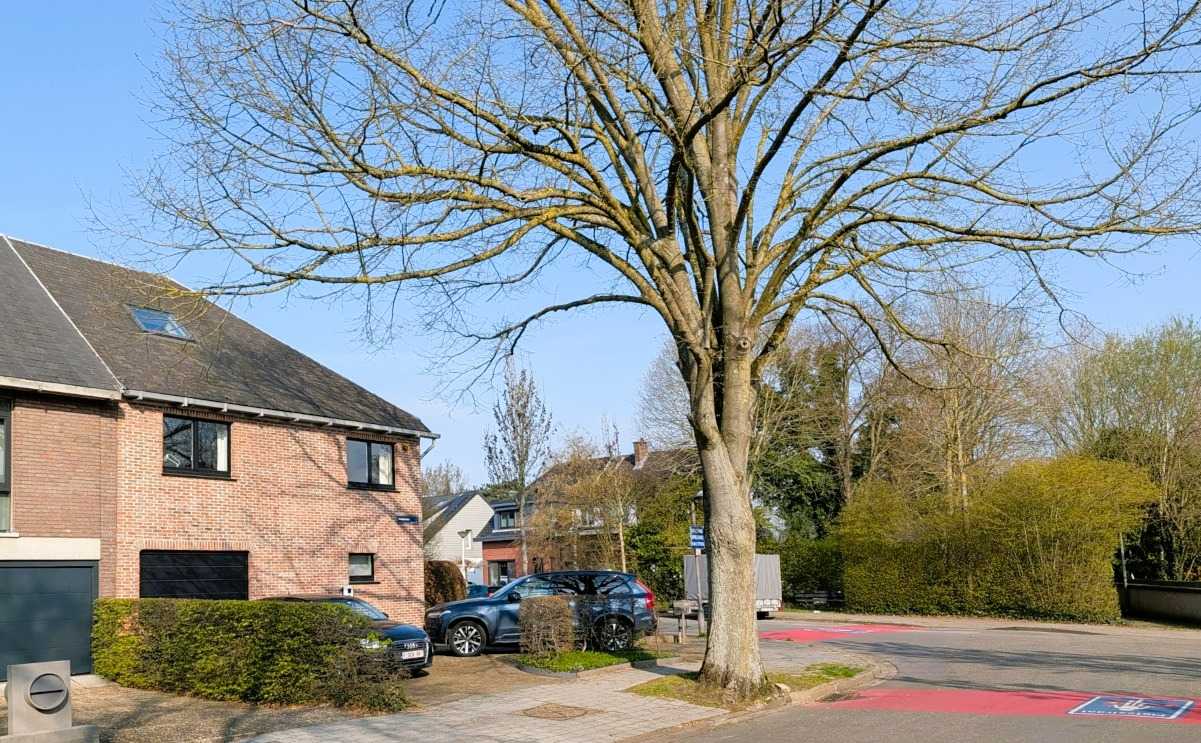 Huis te huur in Mortsel met 4 slaapkamers - foto 2