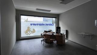 Impressionnante maison offrant un espace pour profession libérale ainsi qu’une vaste partie habitation avec six chambres, jardin, garage et...