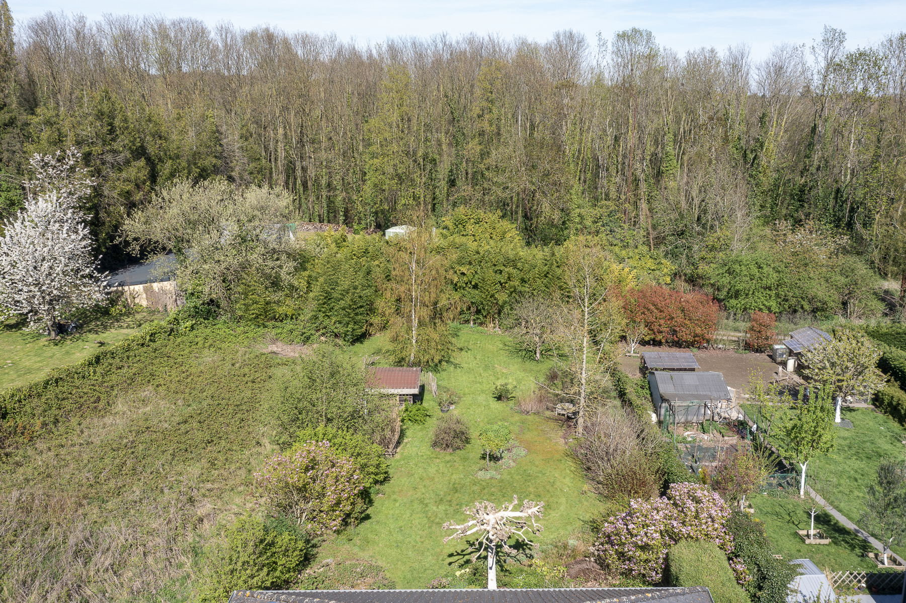 Ruime gezinswoning met prachtige tuin in centrum Dilbeek - foto 4