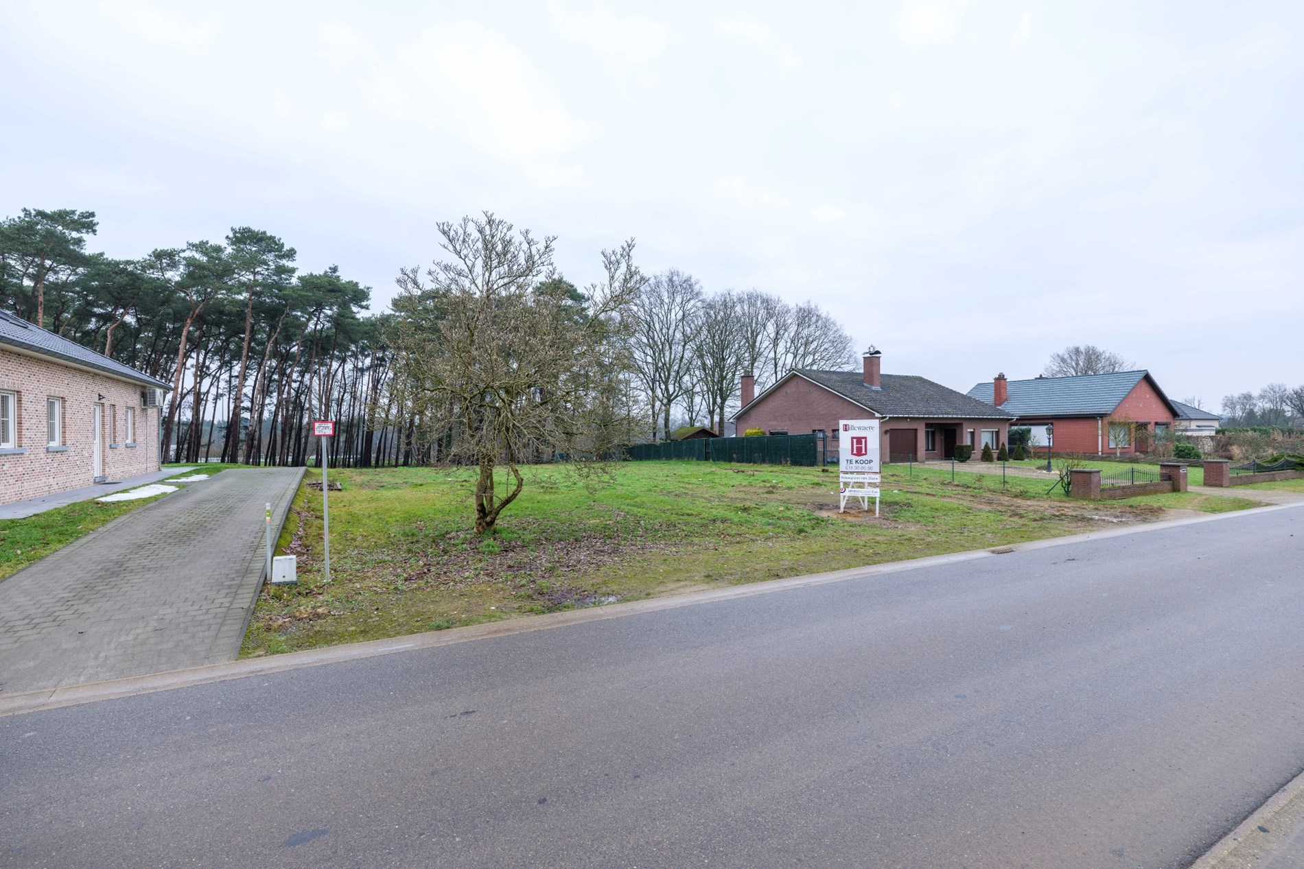Top gelegen bouwgrond  met oppervlakte van 3003 m² te Lummen. - foto 5