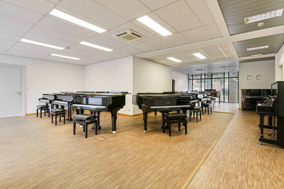 Office Space with Large Terrace and Potential Studio - photo 5