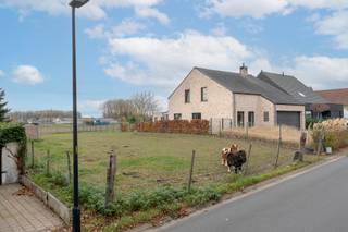 Bouwklaar terrein voor het oprichten van een vrijstaande ééngezinswoning.<br />Gelegen op een perceel van 8 are 35 centiare.<br /><br />Deze grond is op heden volledig bouwklaar, dit terrein is<span> <span>gelegen</span></span><span> </span>in de verkaveling (daterende uit 1994) met volgende maximale bouwvoorschriften:<br />
<ul>
<li><span>Vrijstaande ééngezinswoning</span></li>
<li><span>bouwbreedte 9m,</span></li>
<li><span>bouwdiepte gelijkvloers 15m</span></li>
<li><span>mogelijkheid tot kelderverdieping</span></li>
<li><span>kroonlijsthoogte 3-3,5m + zadeldak met helling 25°-50°.</span></li>
<li><span>mogelijkheid tot nevenfunctie ondergeschikt aan het wonen.</span></li>
</ul>
<span>De verkavelingsvoorschriften laten een mooie vrijheid tot het bouwen van een 4-gevel eengezinswoning met uitzicht op een agrarische zone. Tevens is er geen bouwverplichting geldende voor dit perceel. </span><br /><br /><span>Het terrein is gelegen in het rustig en landelijke Asbeek, doch in de nabijheid van Ternat, Asse en invalswegen.</span>
