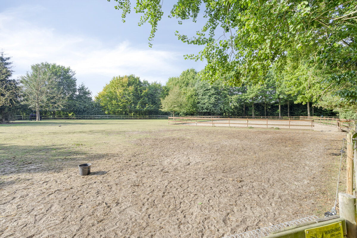 Karaktervolle hoeve met 5 slaapkamers op ca. 1,6 hectare - foto 5