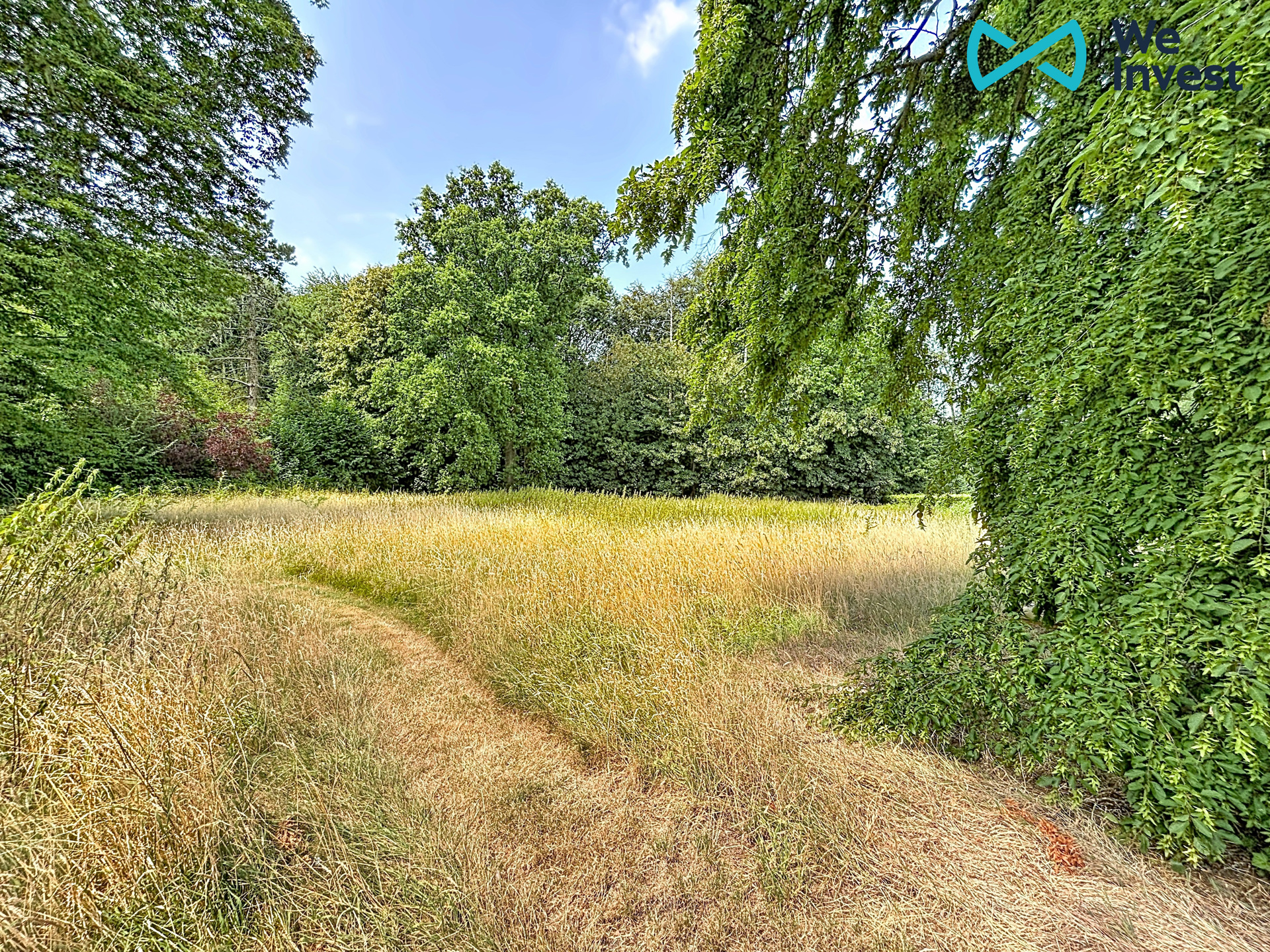 *** TE KOOP *** Lettelingen - Bouwgrond van ca. 28 a. - foto 4