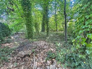 <p>Bouwgrond van 2.381 m² op toplocatie aan de Kapelsesteenweg in Brasschaat. Gelegen in een groene, residentiële omgeving met een uitstekende bereikbaarheid en nabij winkels, scholen en het centrum. Een unieke opportuniteit voor het realiseren van een stijlvolle villa op een ruim perceel.</p>