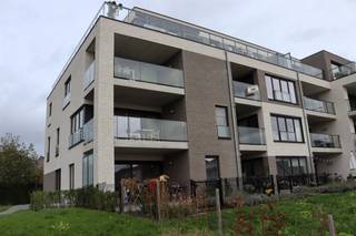 Appartement à louer à Wetteren