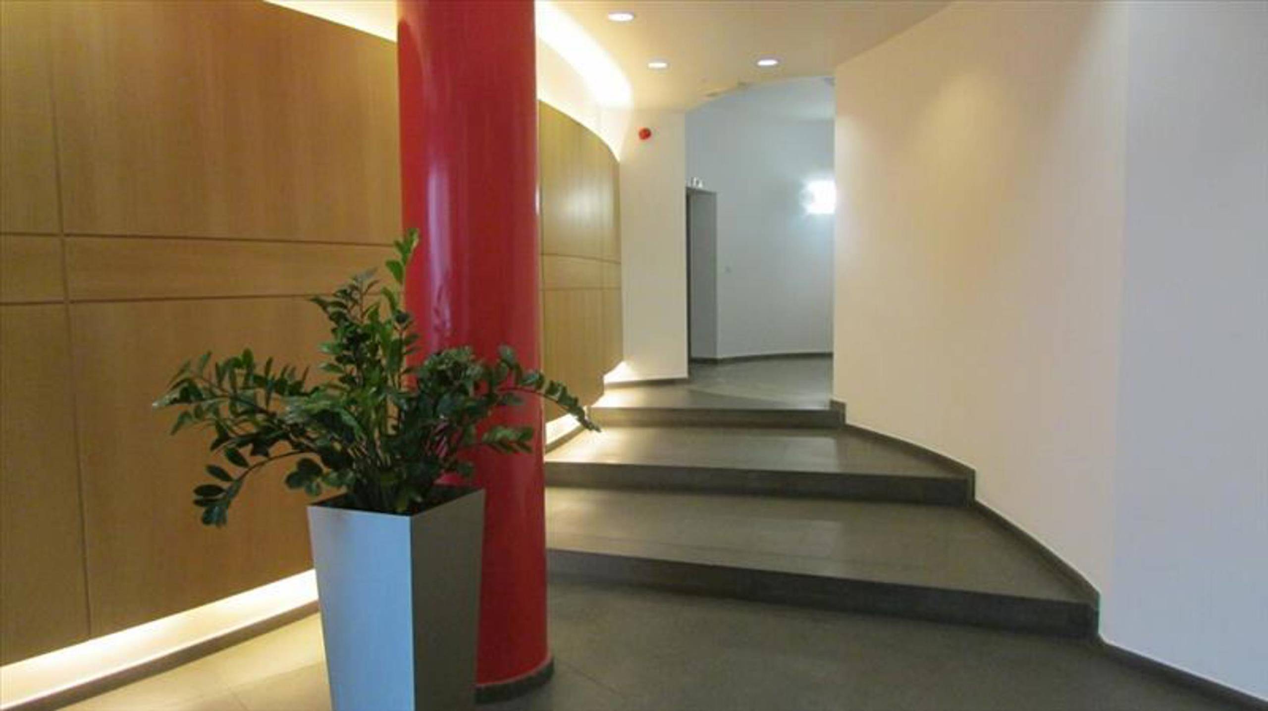 Commercial for rent in Brussels - photo 4