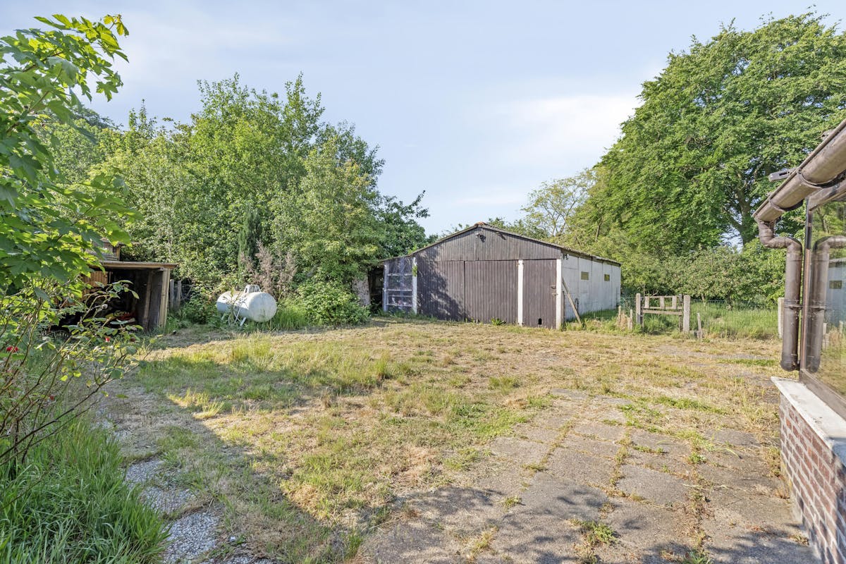 Te renoveren hoeve op bijna 6000 m² nabij het centrum van Aalter - foto 3