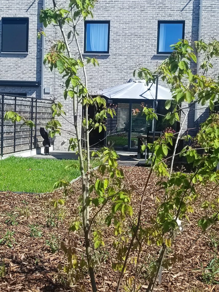 Huis te koop in Ledegem met 3 slaapkamers - foto 4