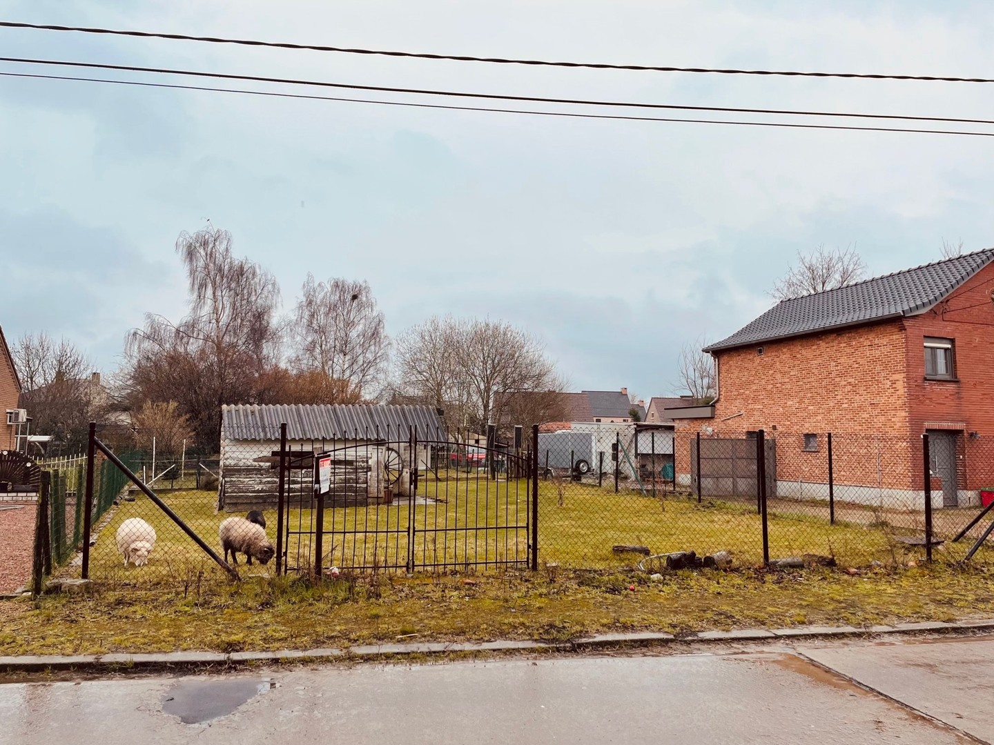 Bouwgrond voor OB - foto 4