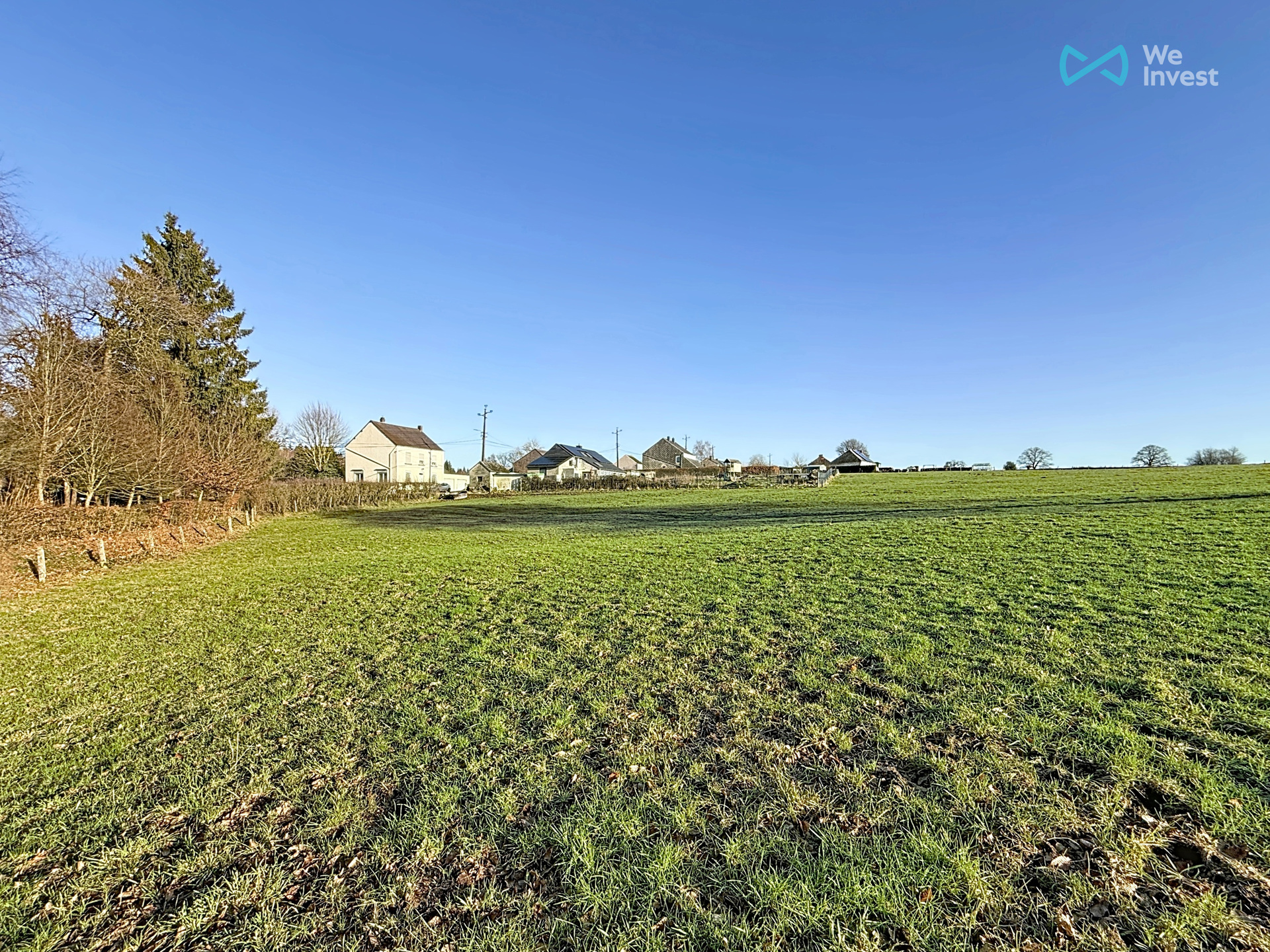 Land for sale in Seloignes - photo 4