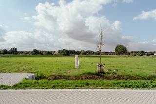 Aan Vogelsanck, een rustige en landelijk gelegen woonlocatie net buiten de dorpskern van Oostmalle biedt Danneels nieuwe bouwgronden te koop aan. <br /><br />Deze ruime villapercelen combineren een mooie straatbreedte met een aanzienlijke diepte, waardoor je hier volop kan genieten van een ruime, perfect zuidwest georiënteerde woning met ruime tuin. <br /><br />De percelen worden te koop aangeboden zonder bouwverplichting. Je kiest dus helemaal vrij met welke bouwpartner(s) je samenwerkt en wanneer je hier gaat bouwen.<br /><br />Hier woon je rustig in een landelijke omgeving maar zonder in te boeten aan bereikbaarheid. Je vindt alle nodige voorzieningen in de nabijheid en hebt een vlotte aansluiting naar de E19 en E34.  