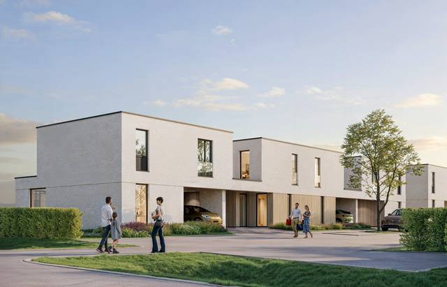 Project te koop in Bilzen