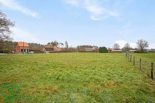 Land for sale in Vorselaar