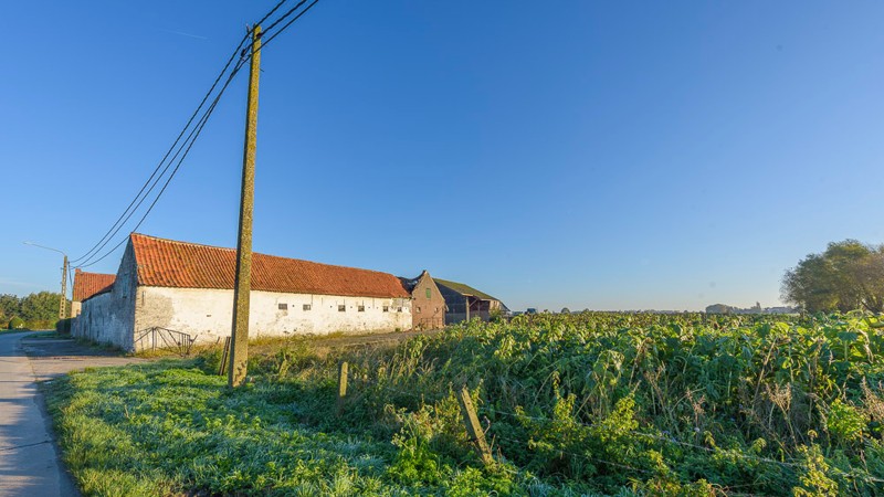 Te slopen of verbouwen hoeve in een oase van rust - foto 5