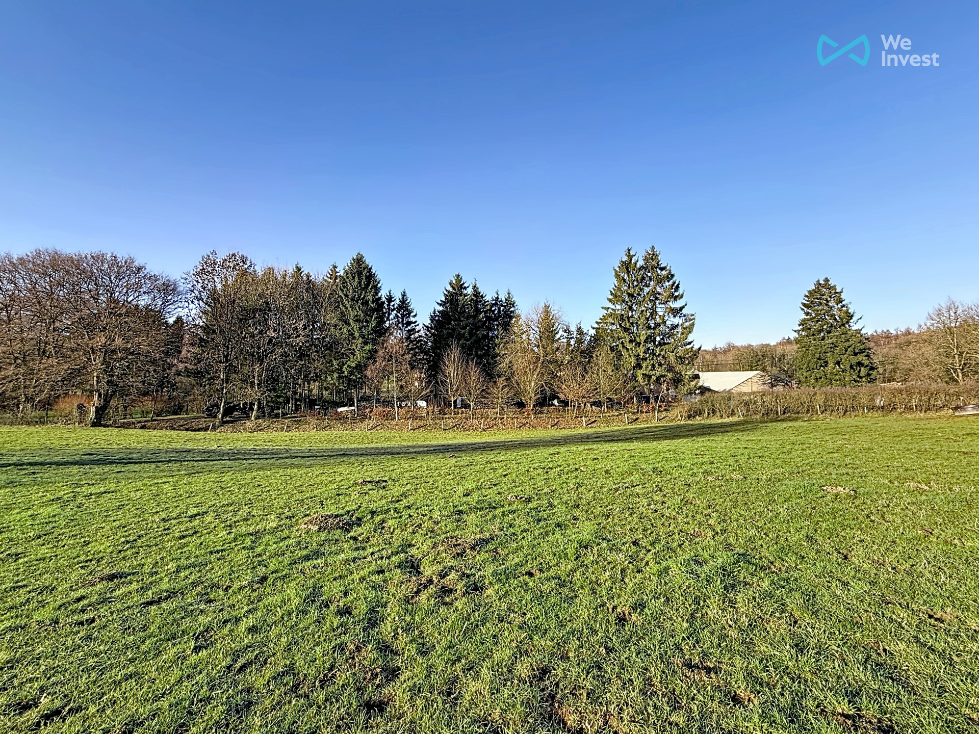 Land for sale in Seloignes - photo 1