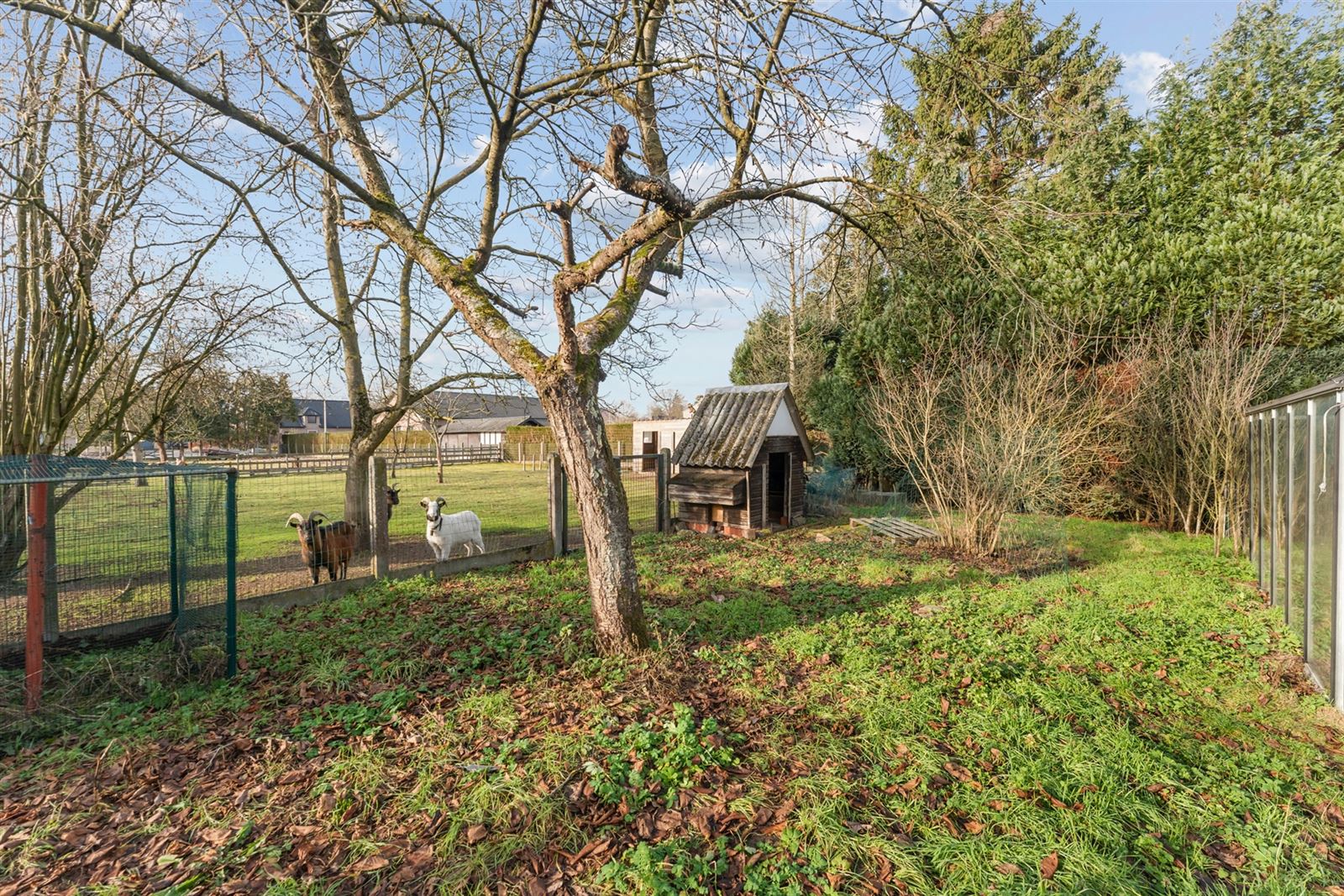 Maison à vendre à Tessenderlo-Ham avec 3 chambres - photo 5