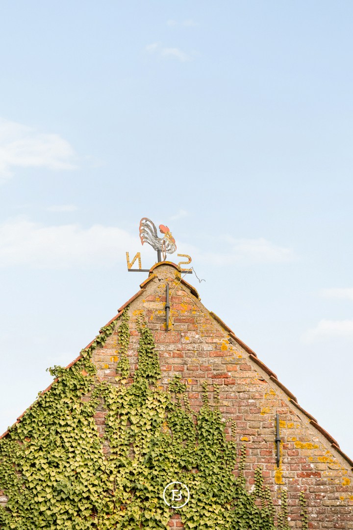 Country house and barn with approved building plans - photo 3