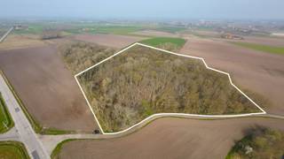 Tussen Vladslo en Leke, nabij Diksmuide, bieden wij u dit uitzonderlijke stukje natuurschoon aan. Dit perceel bos, gelegen in natuurgebied, meet...