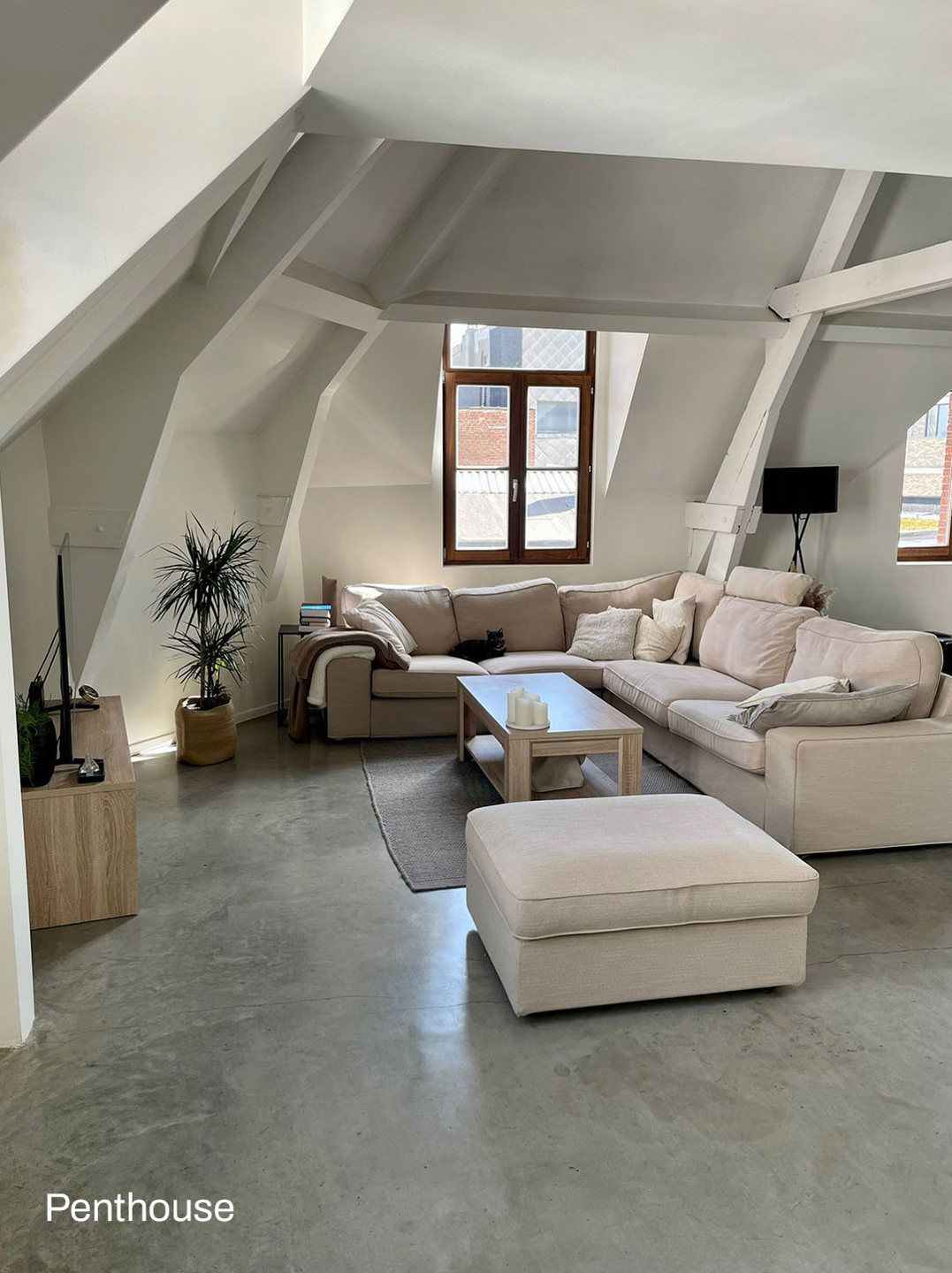 Opbrengsteigendom met 8 units in centrum Antwerpen - foto 4