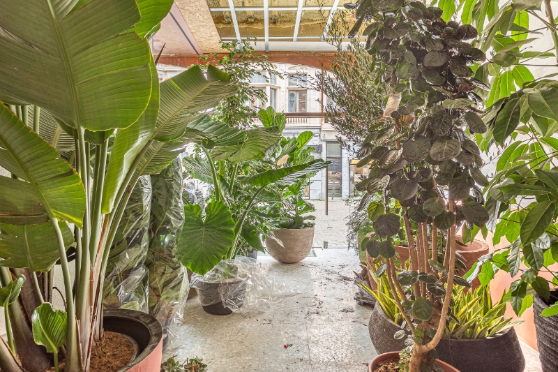 Handelspand op toplocatie - photo 4