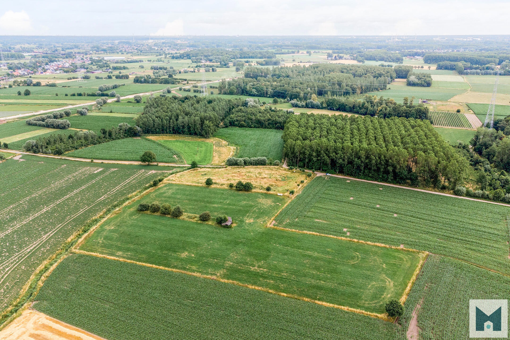 Prachtig weiland van maar liefst 1,864 hectare! - foto 5