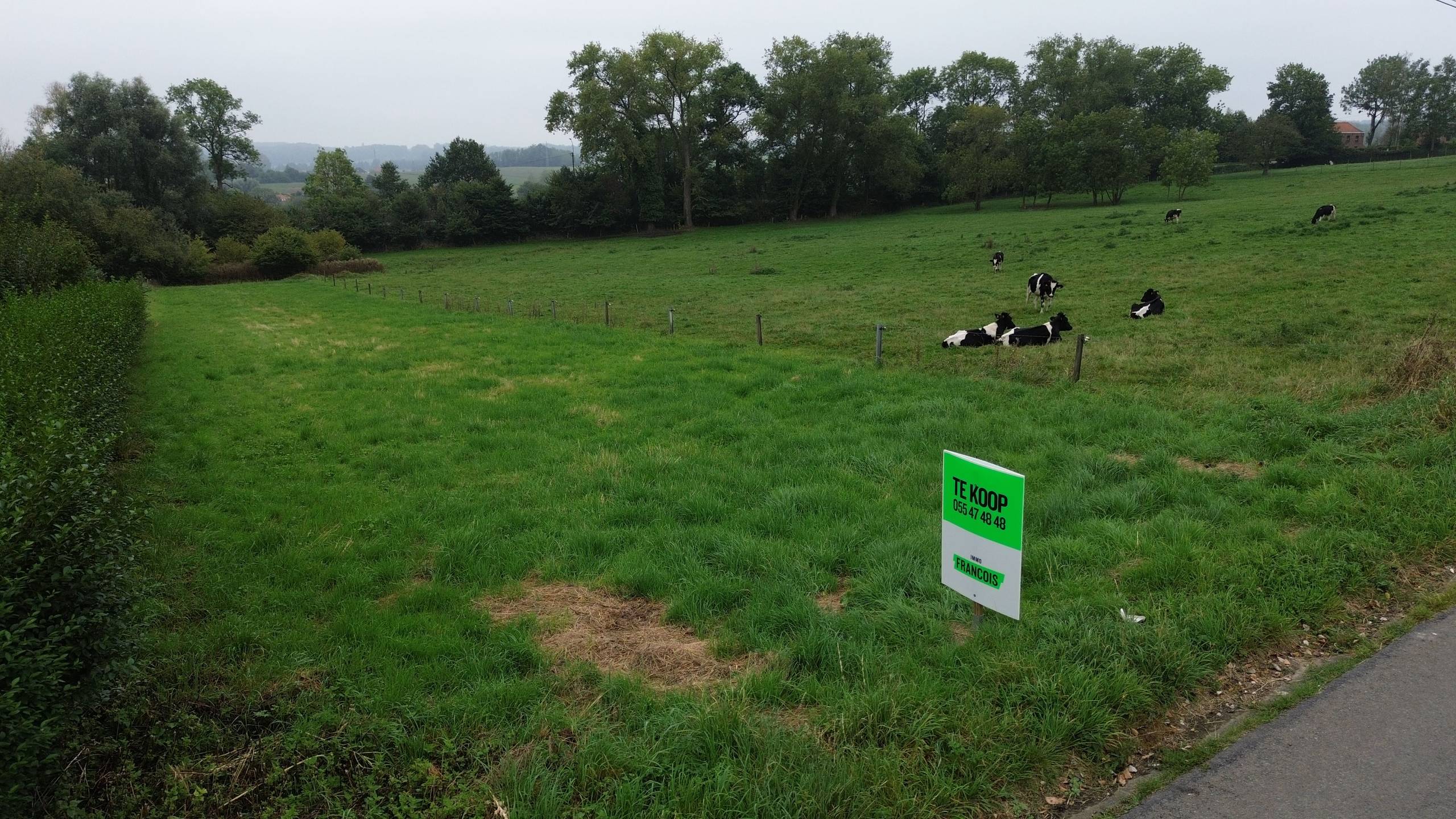 Terrain à vendre à Ellezelles - photo 1