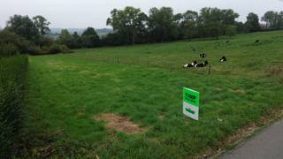 Terrain à vendre à Ellezelles