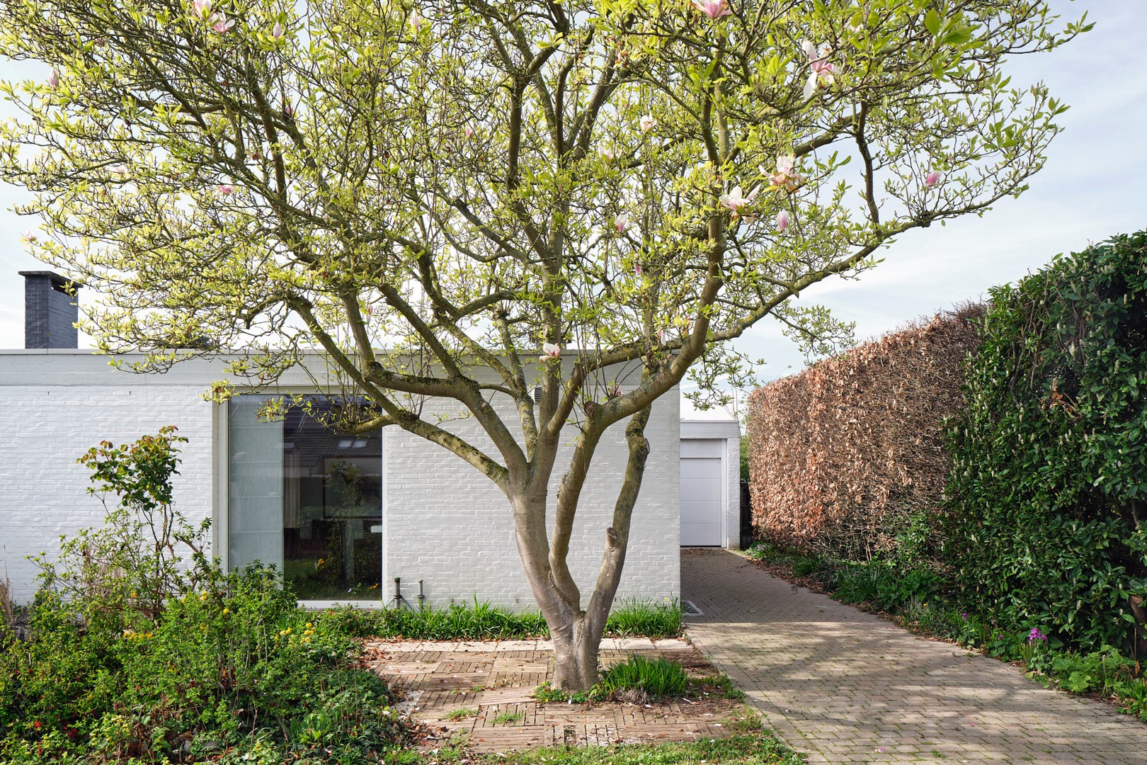 Kunstenaarswoning Toon Vanmechelen - foto 4