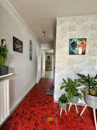 Maison à vendre à Stabroek