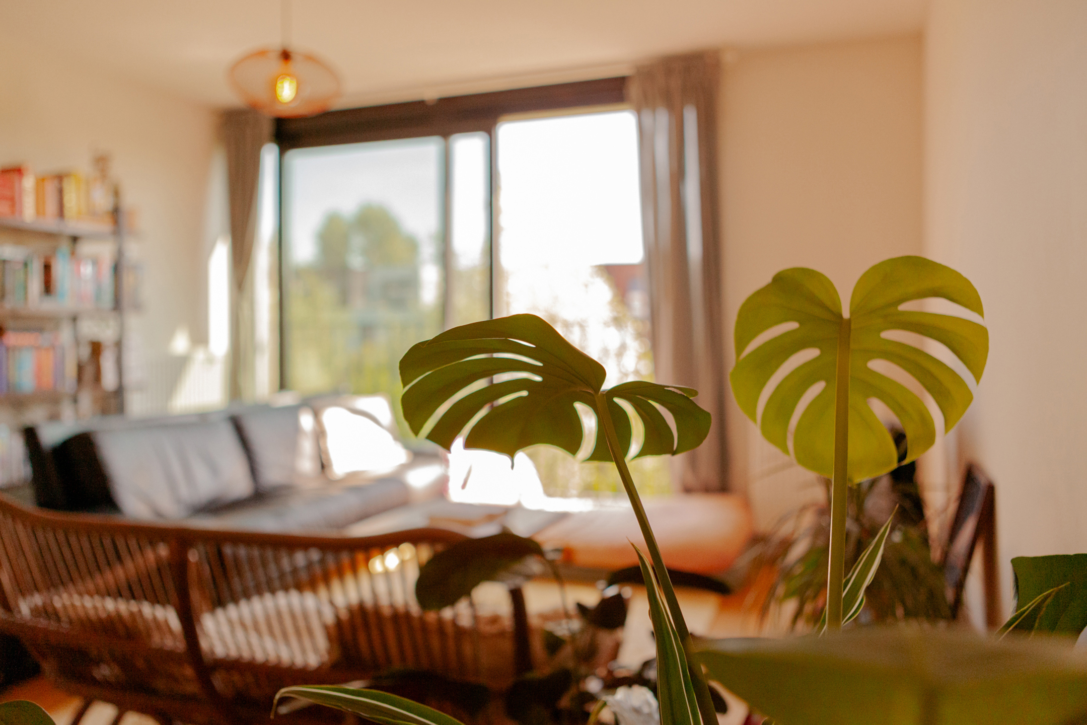 Apartment for sale in Ghent with 2 bedrooms - photo 5